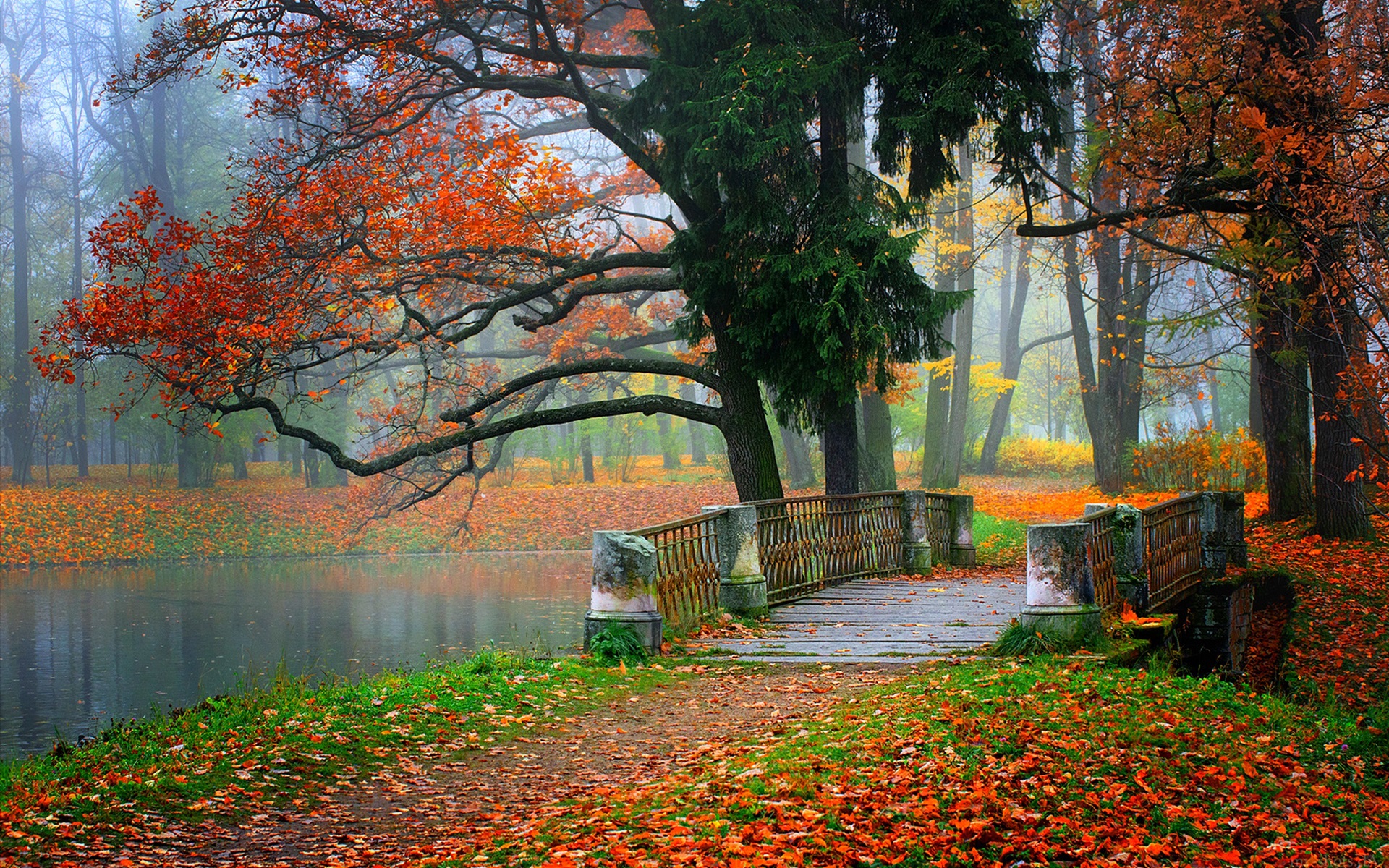 Park Scenery River Water Forest Trees Leaves Colorful Autumn