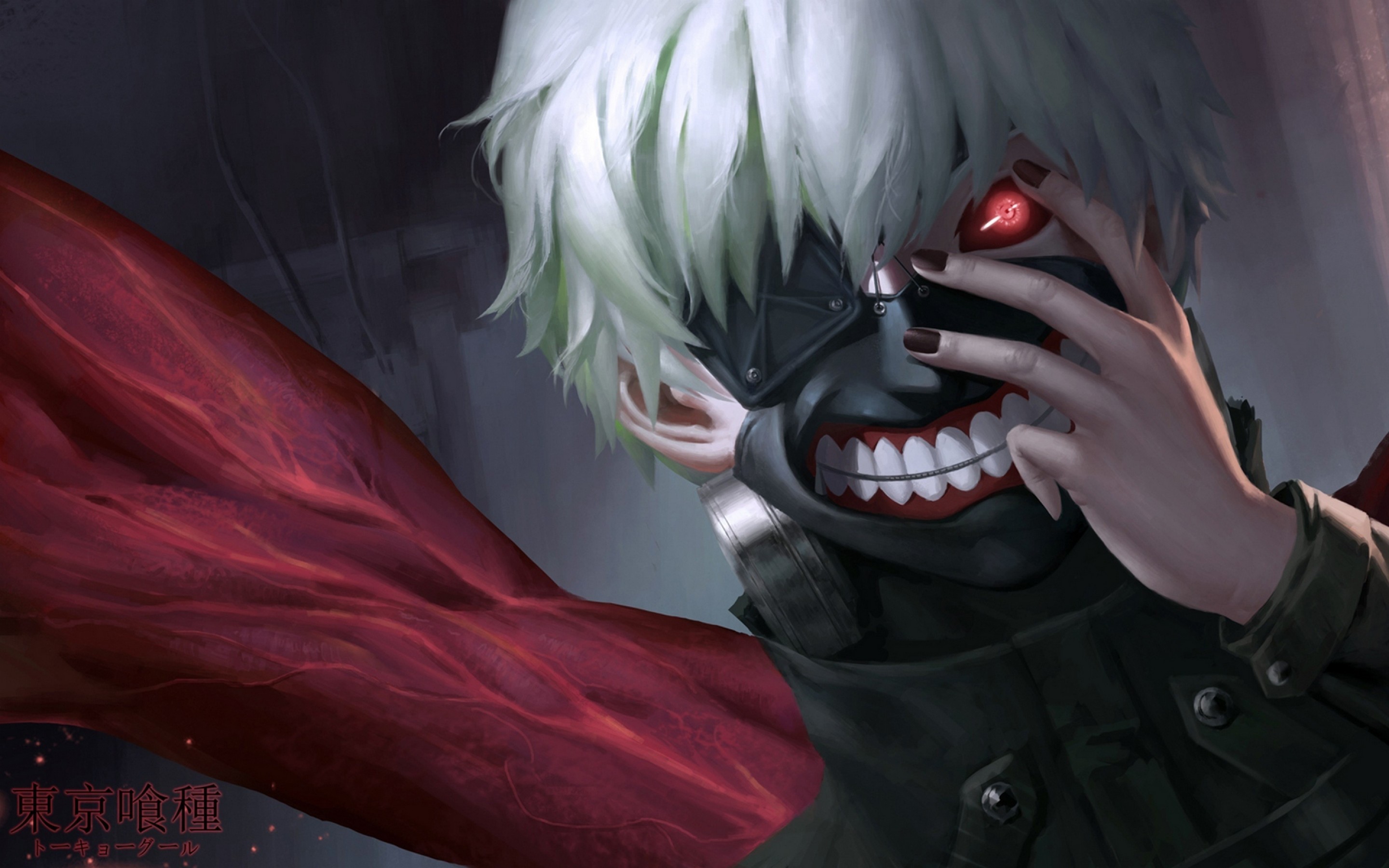 Tokyo ghoul wallpaper  anime  Wallpaper Better