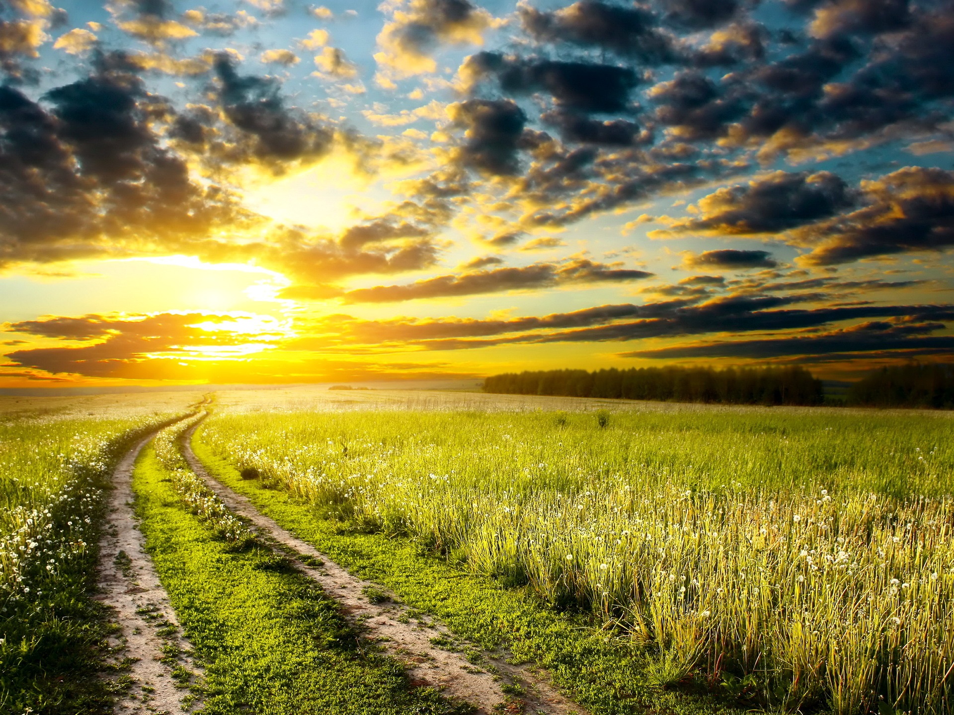 Early summer, sunrise, meadow, grass, road, sky, clouds wallpaper