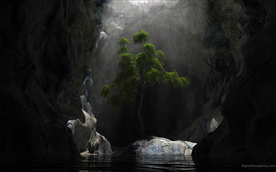 Tree Cave Sunlight Hd Wallpaper Nature And Landscape Wallpaper Better