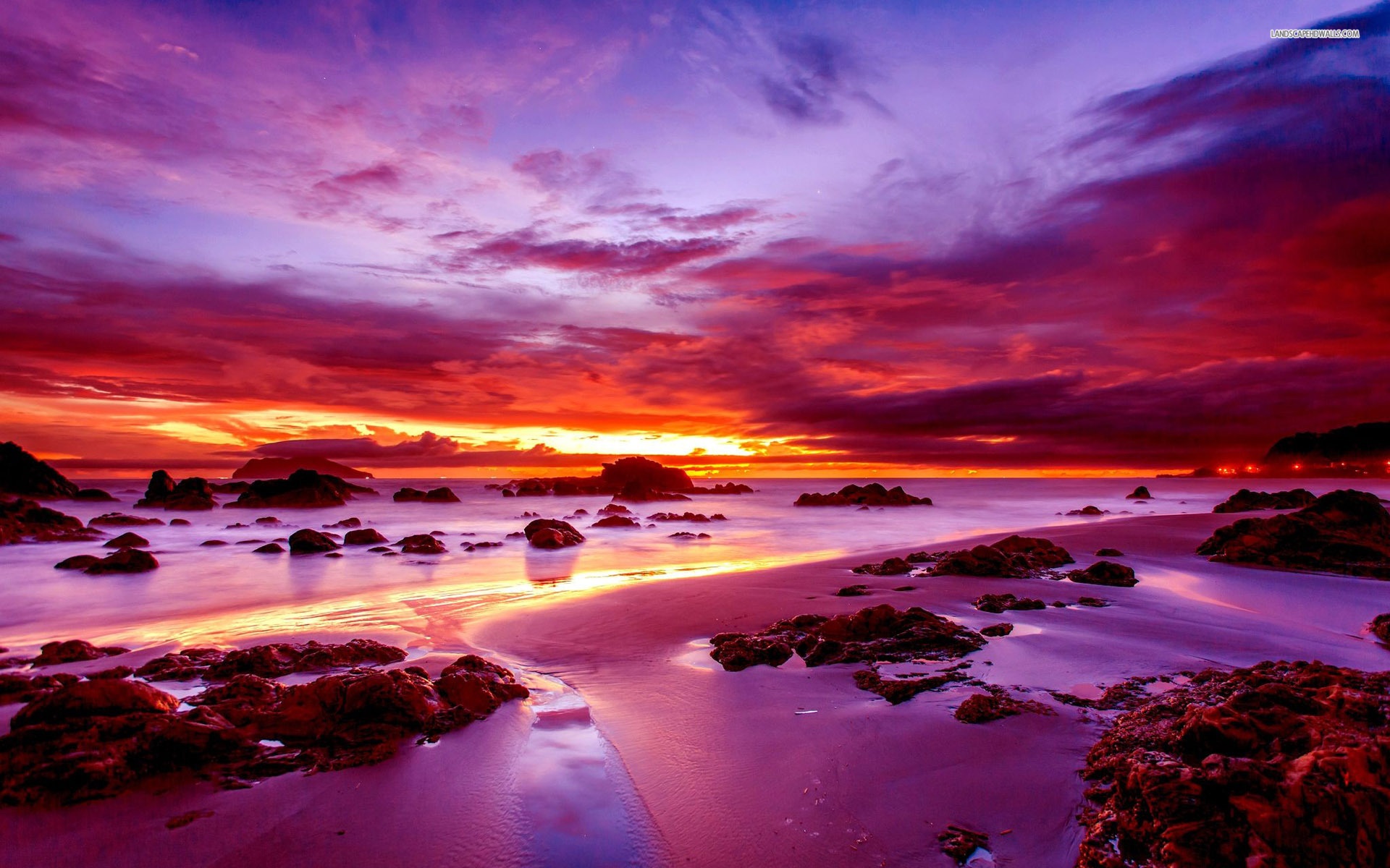 Purple Sunset on Rocky Beach wallpaper | nature and ...