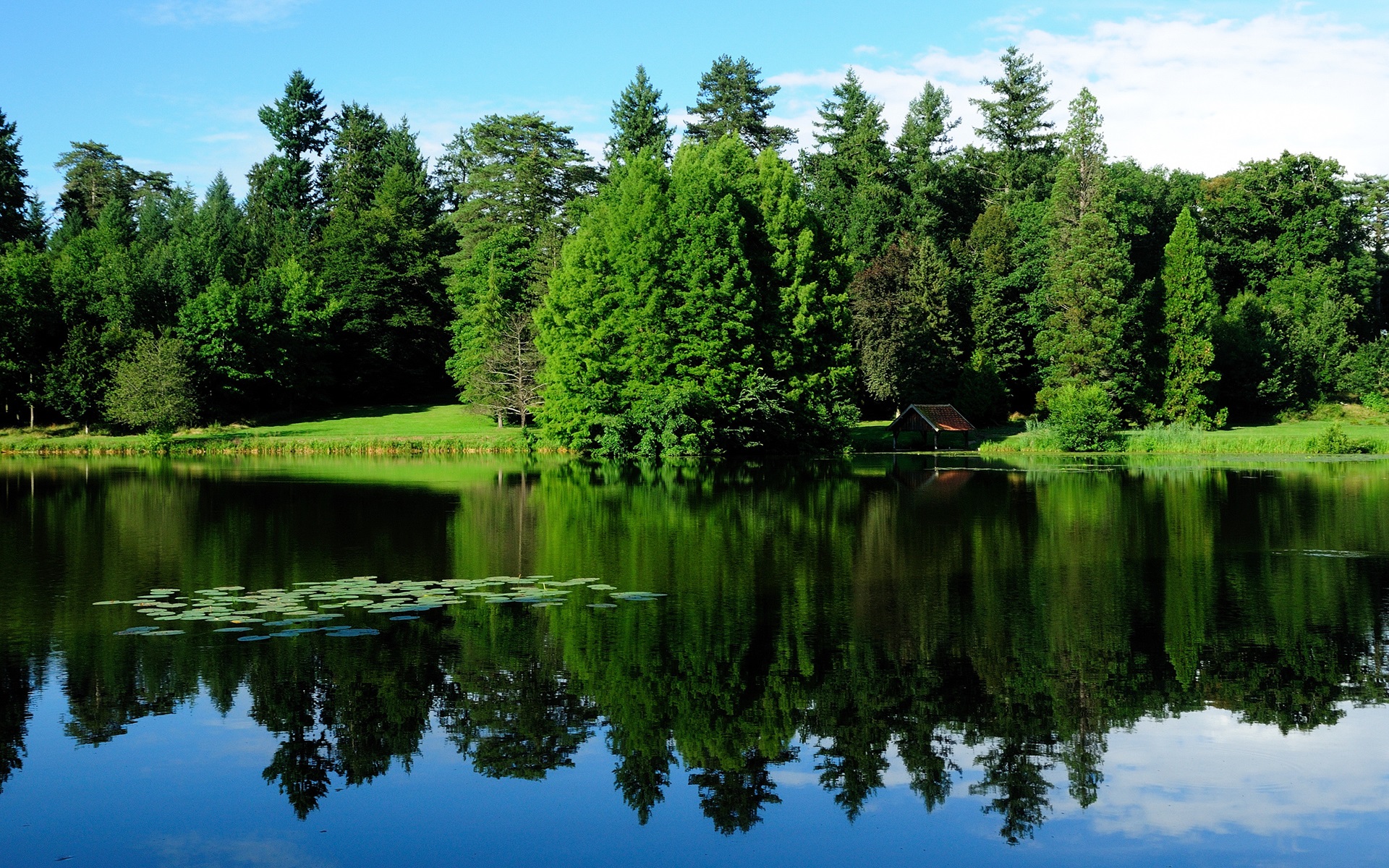 France, nature landscape, trees, greenery, lake, water reflection