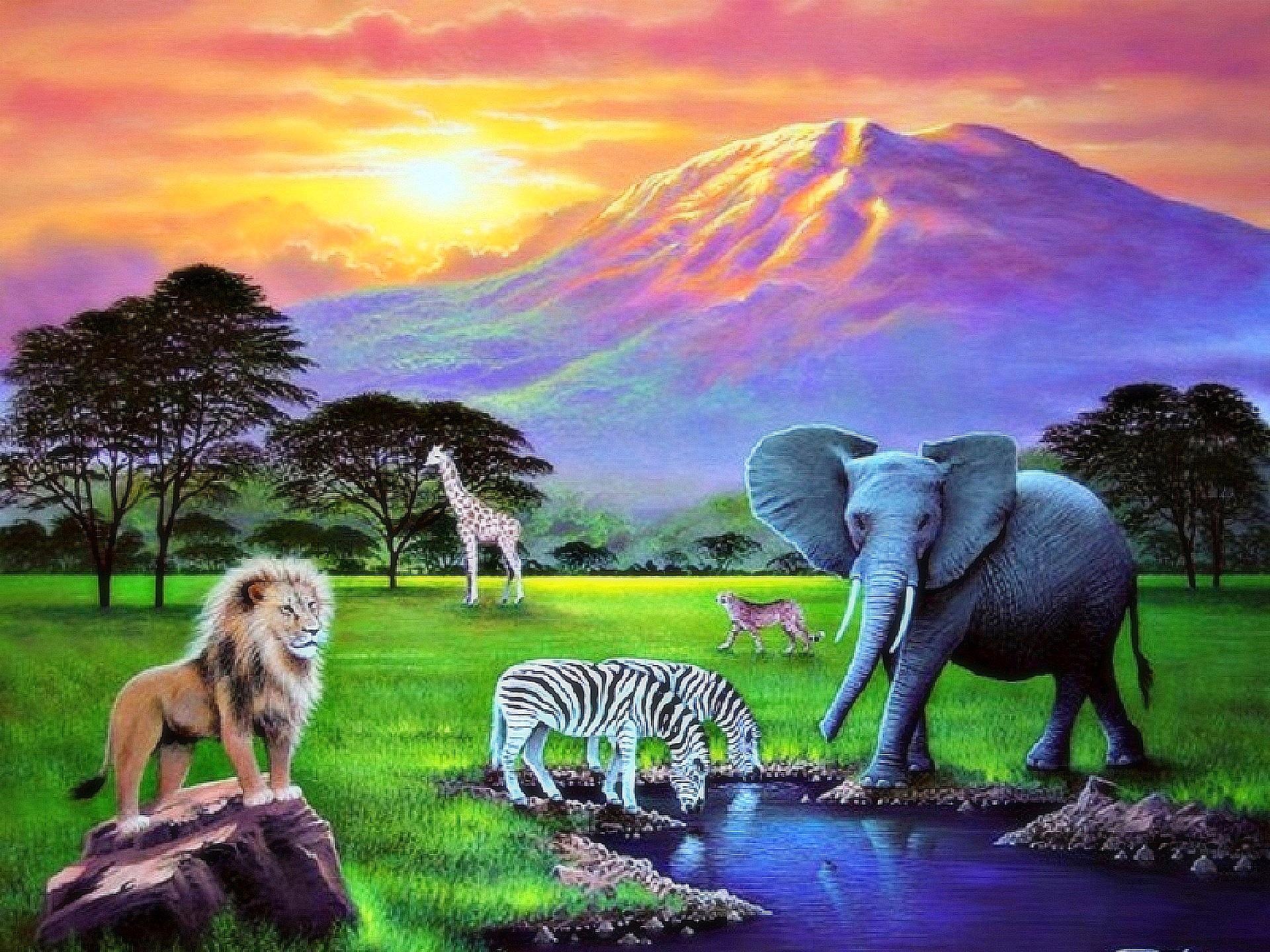 ?Nature & Wildlife Endangered? wallpaper | animals | Wallpaper Better