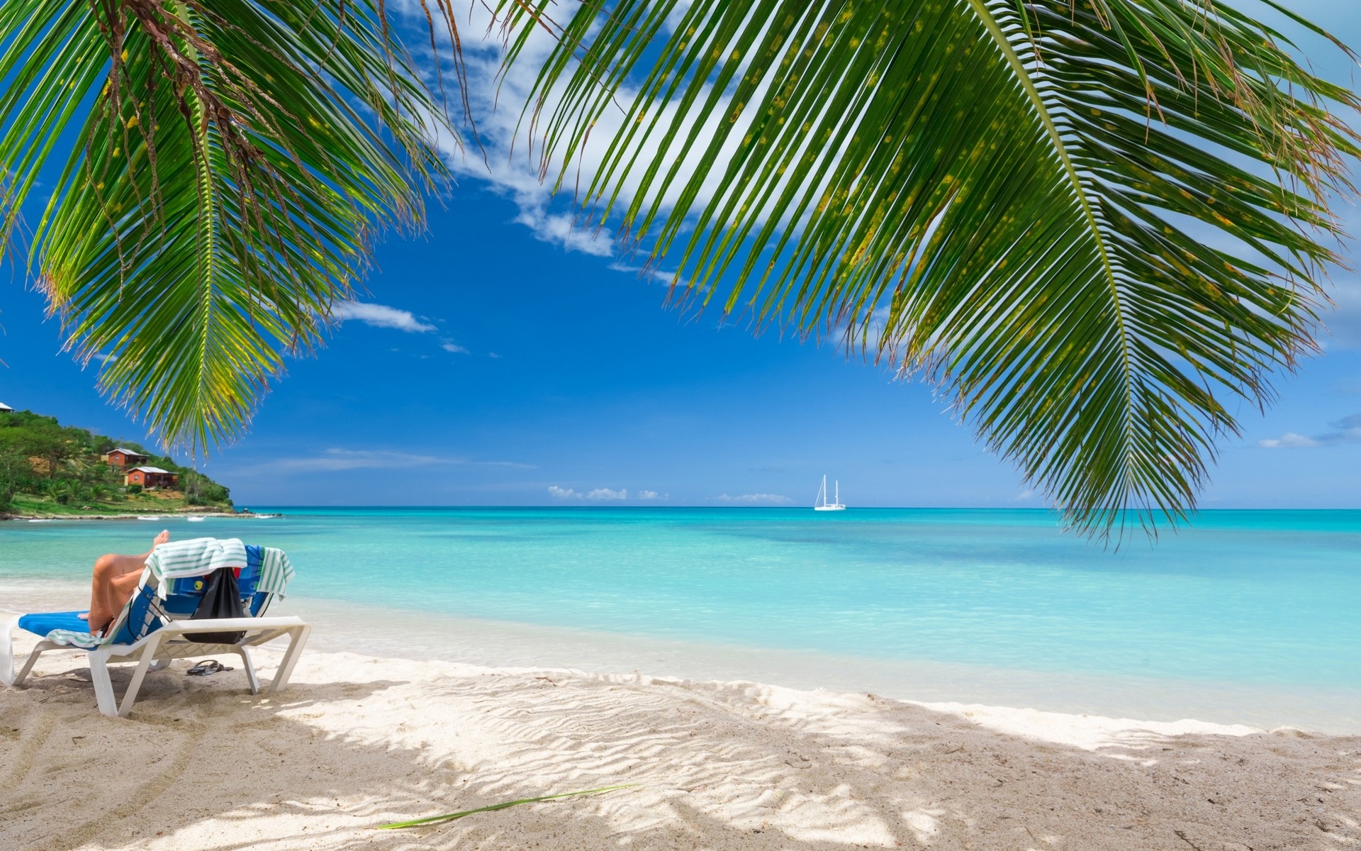 Beach, Summer, Tropical, Sea, Nature, Landscape, Caribbean, Palm Trees