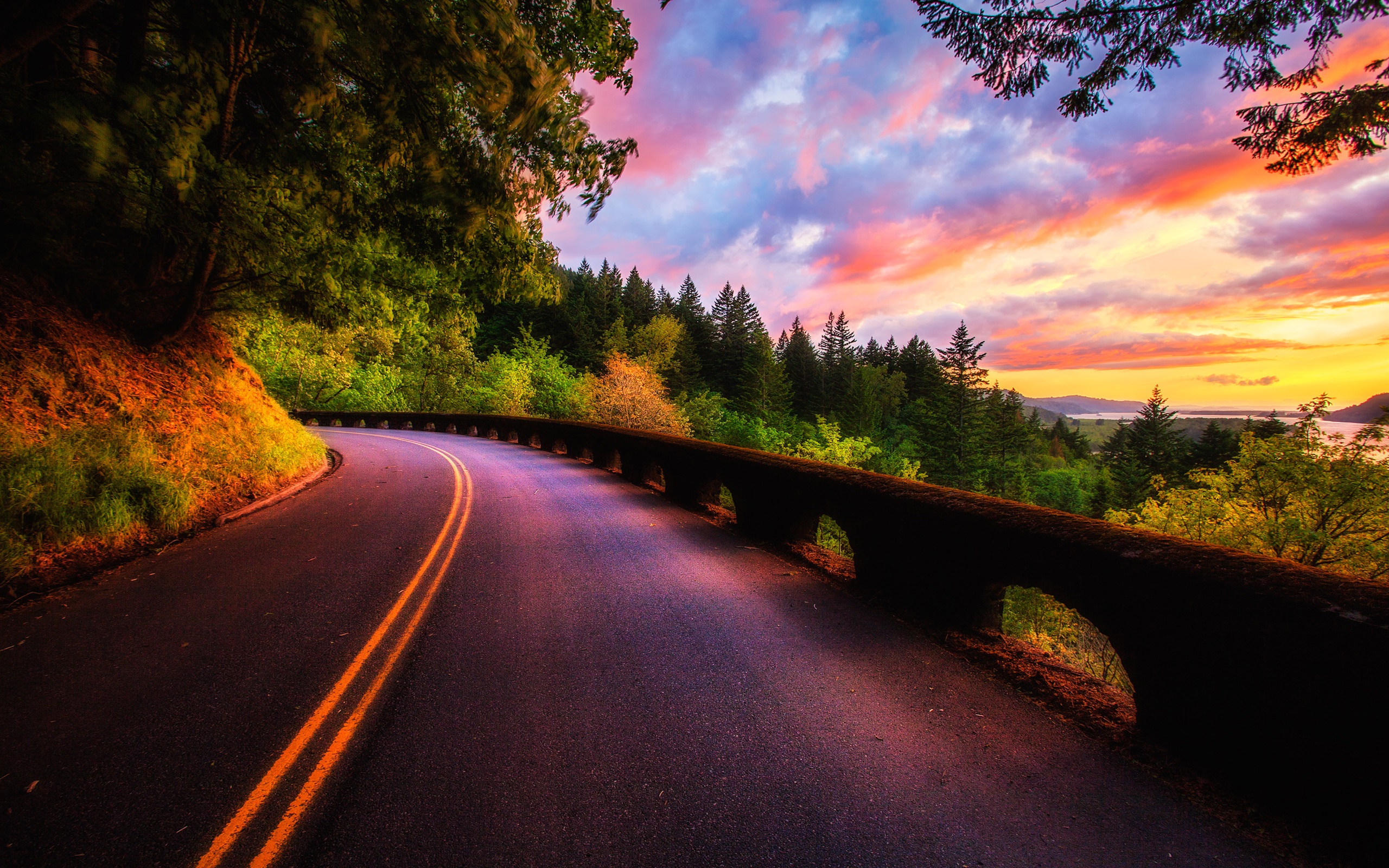 Beautiful sunset scenery, forest, trees, road, clouds colors wallpaper