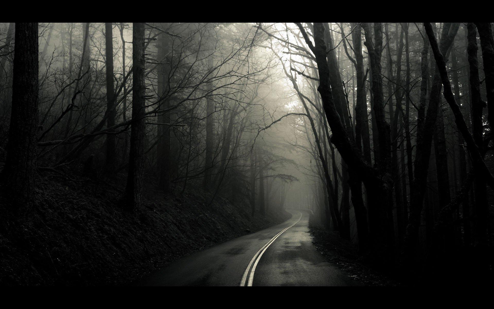 Dark Road Wallpaper Nature And Landscape Wallpaper Better