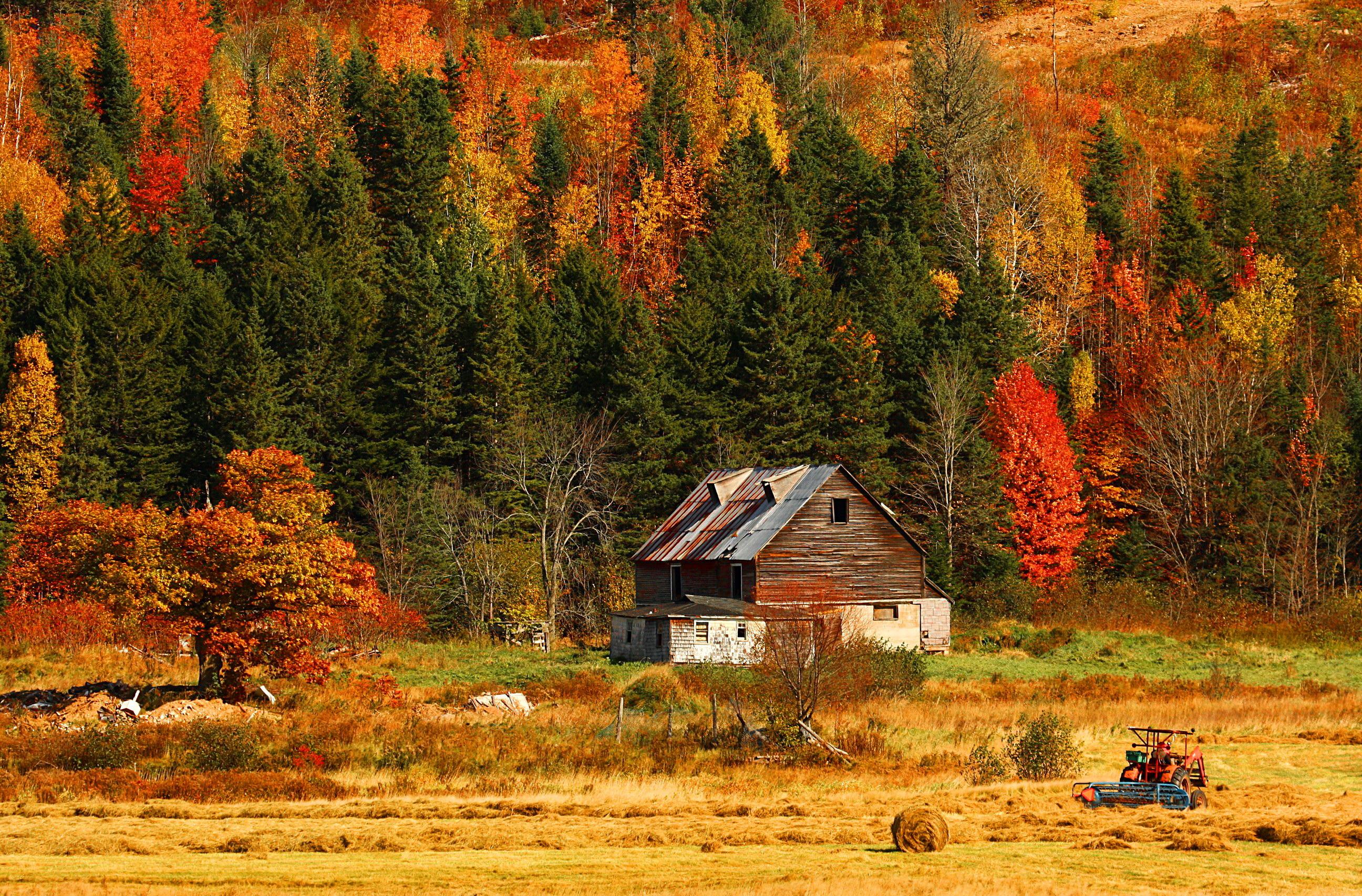 Hut In Autumn Mountain Wallpaper Nature And Landscape Wallpaper Better