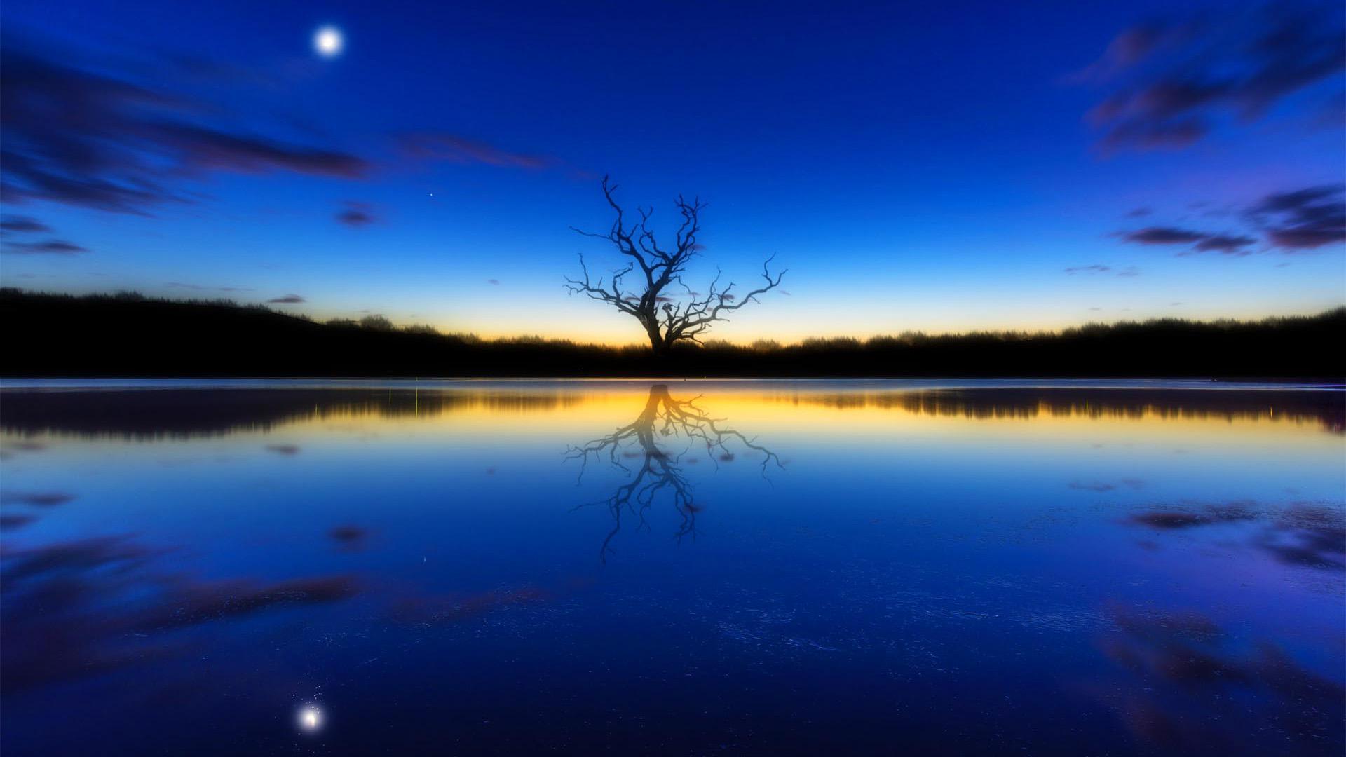 Blue landscape, a tree, reflecting, river, sunset, moon, Landscape