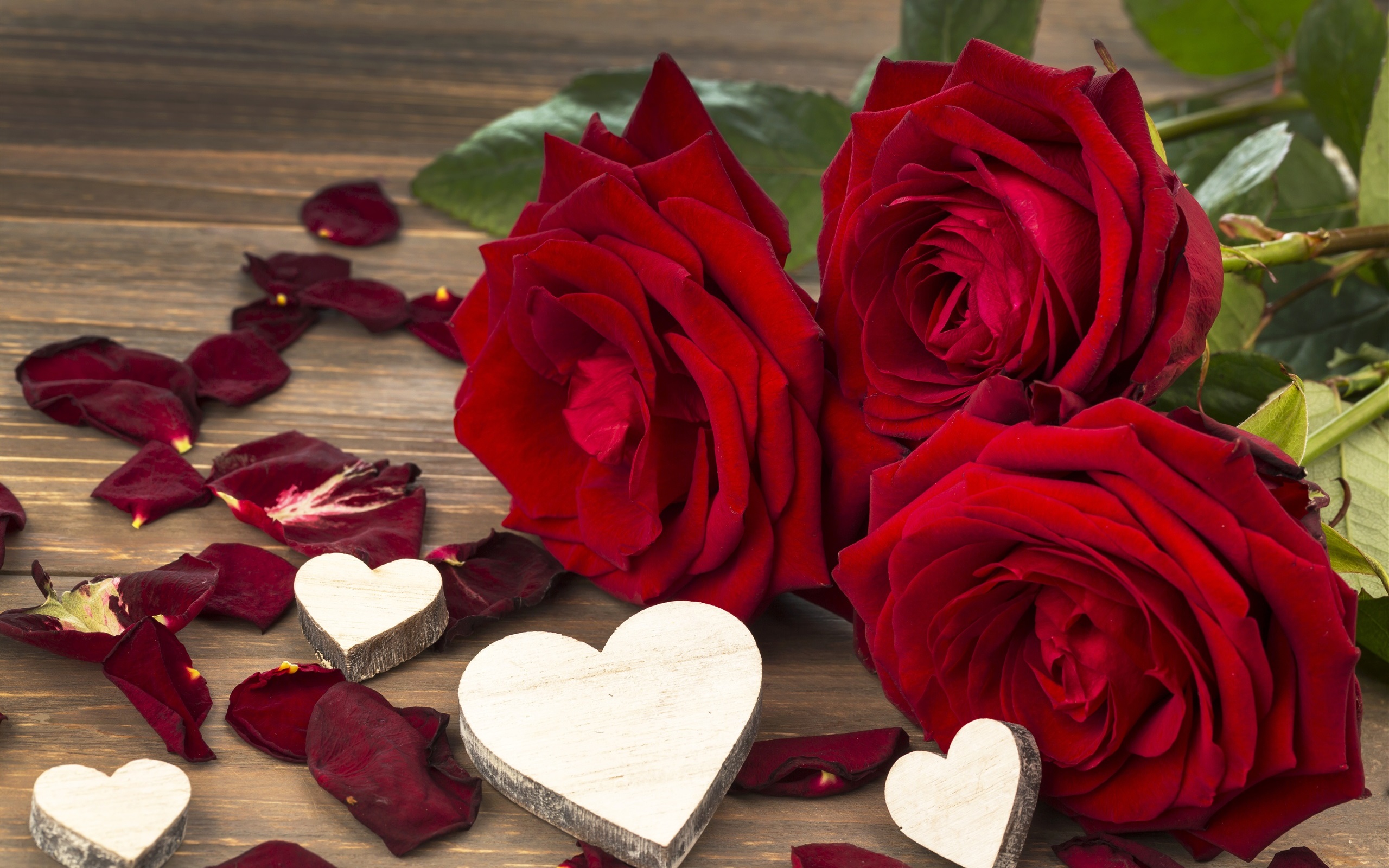 Love Wallpaper Rose Flower / Amazing Red Roses Love Wallpapers And ...