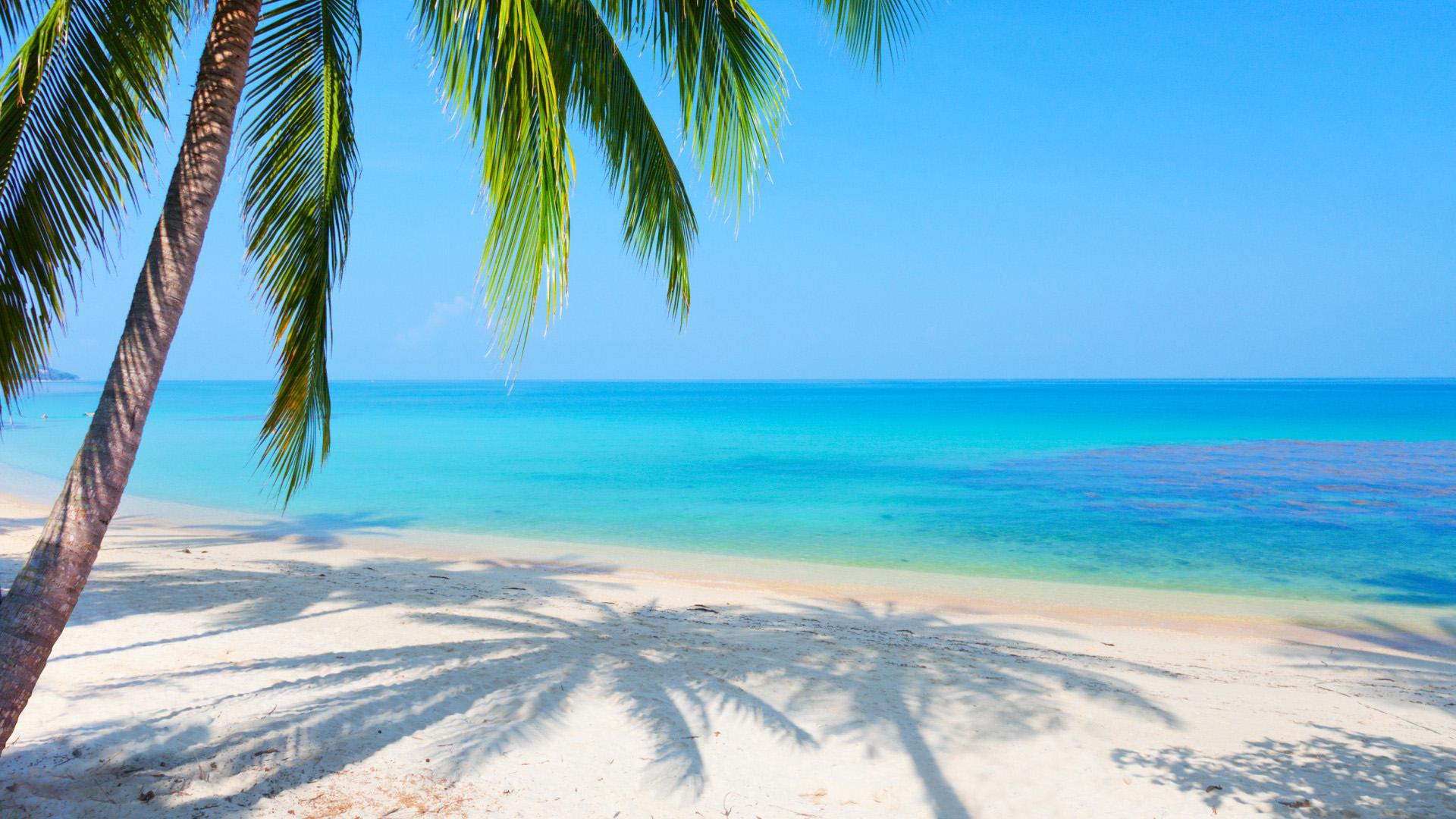 Scenery, sea, palm trees, reflected, beach, desktop wallpaper | beach