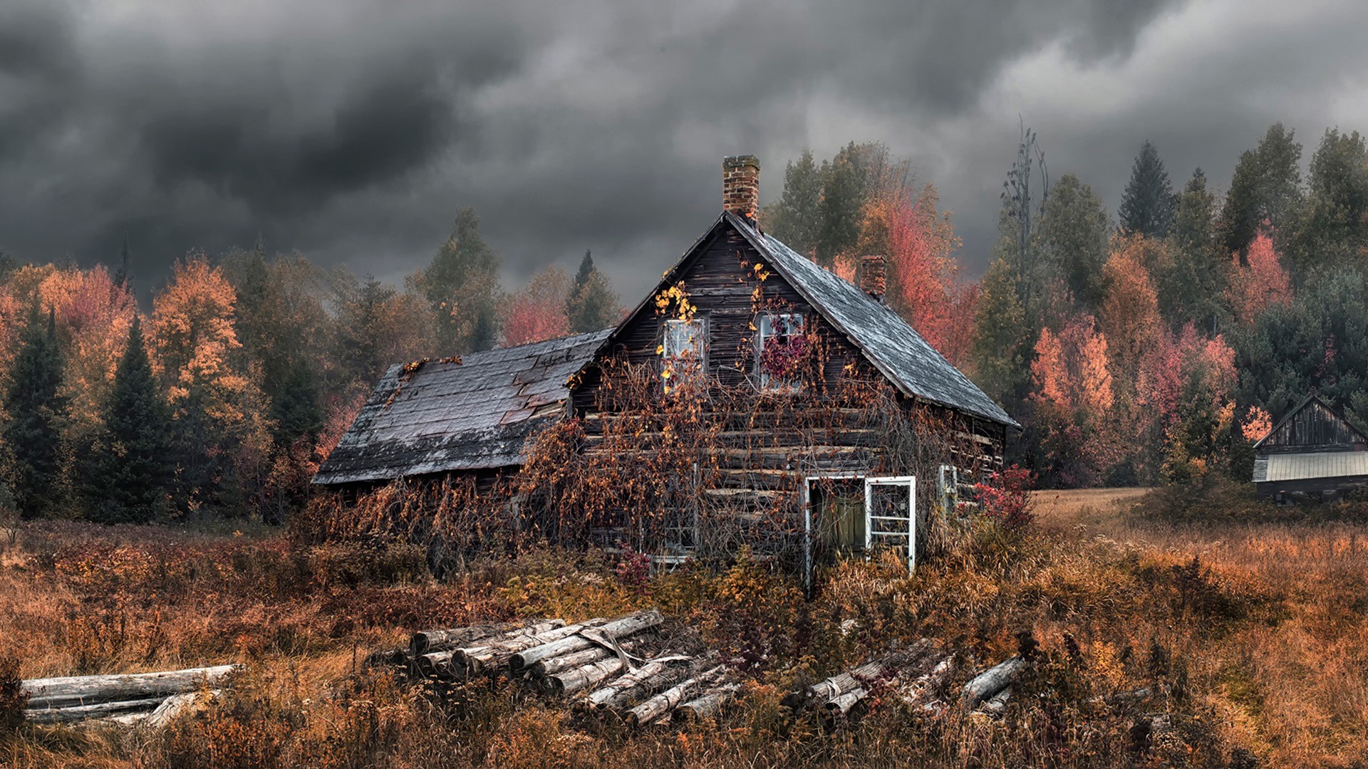 Old house, autumn, forest wallpaper | travel and world | Wallpaper Better