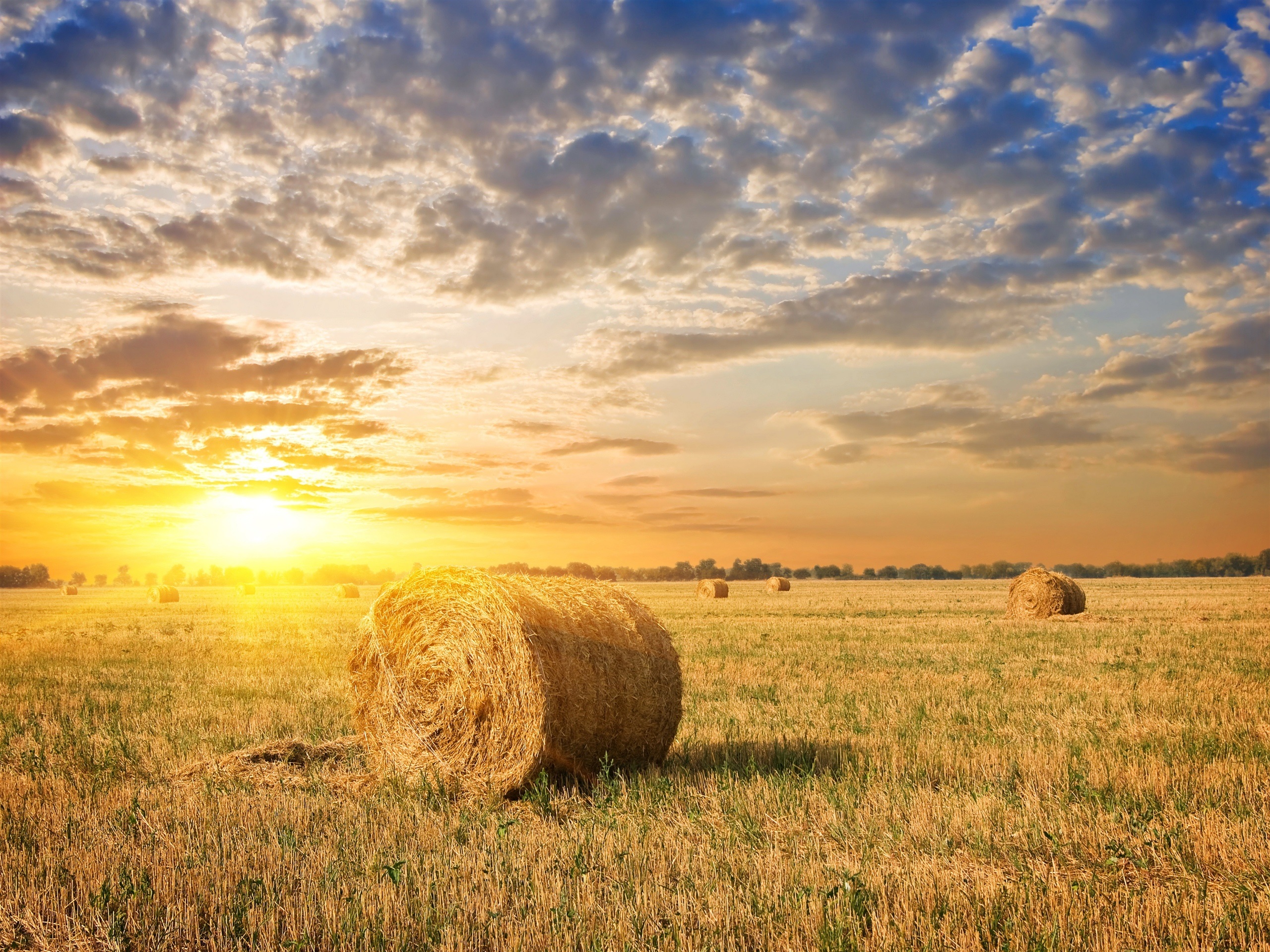 Farm field, grass, hay, sunset, clouds wallpaper | nature and landscape