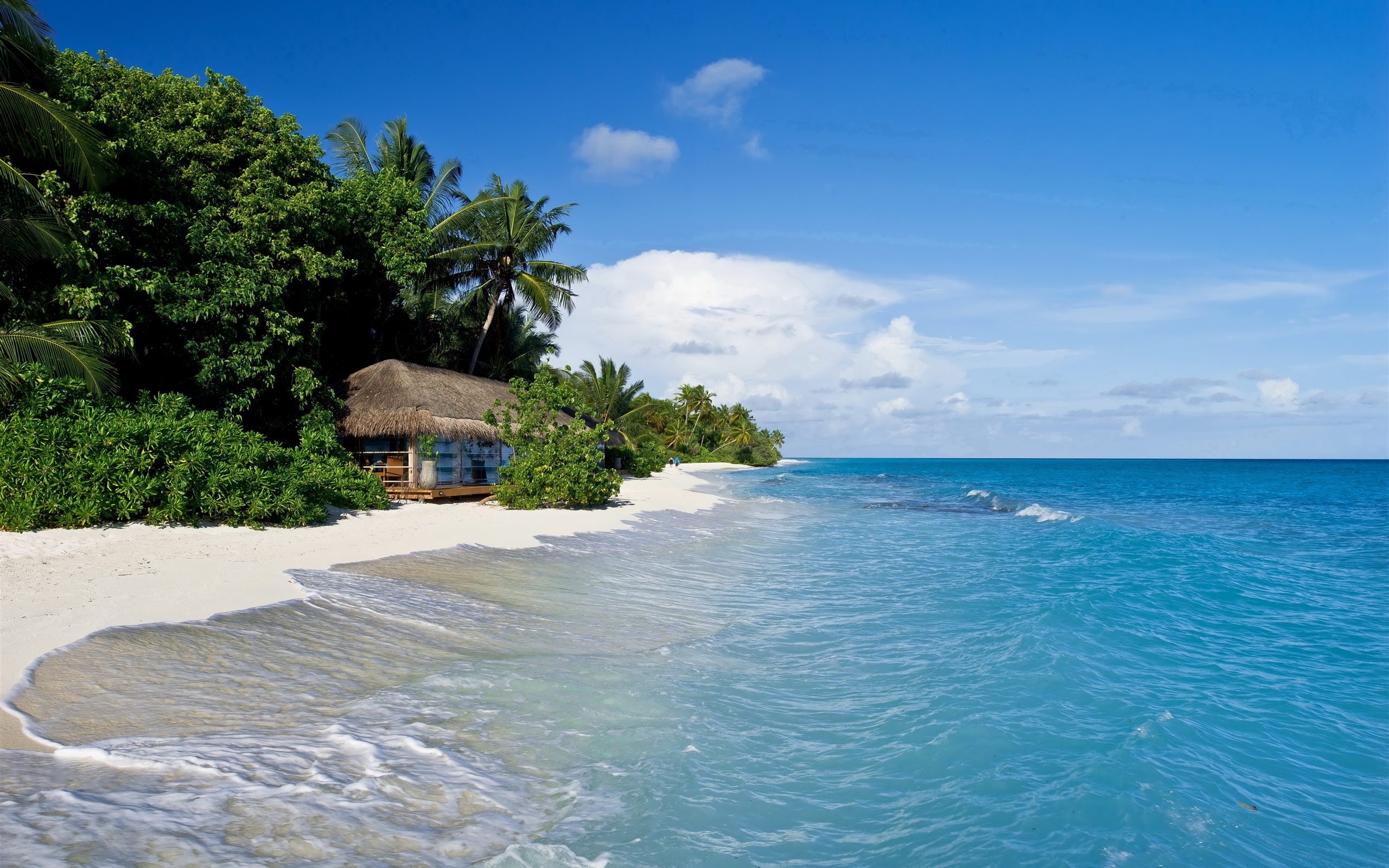 Maldives Tropical Sea Beach Palm Trees Hut Wallpaper Beach