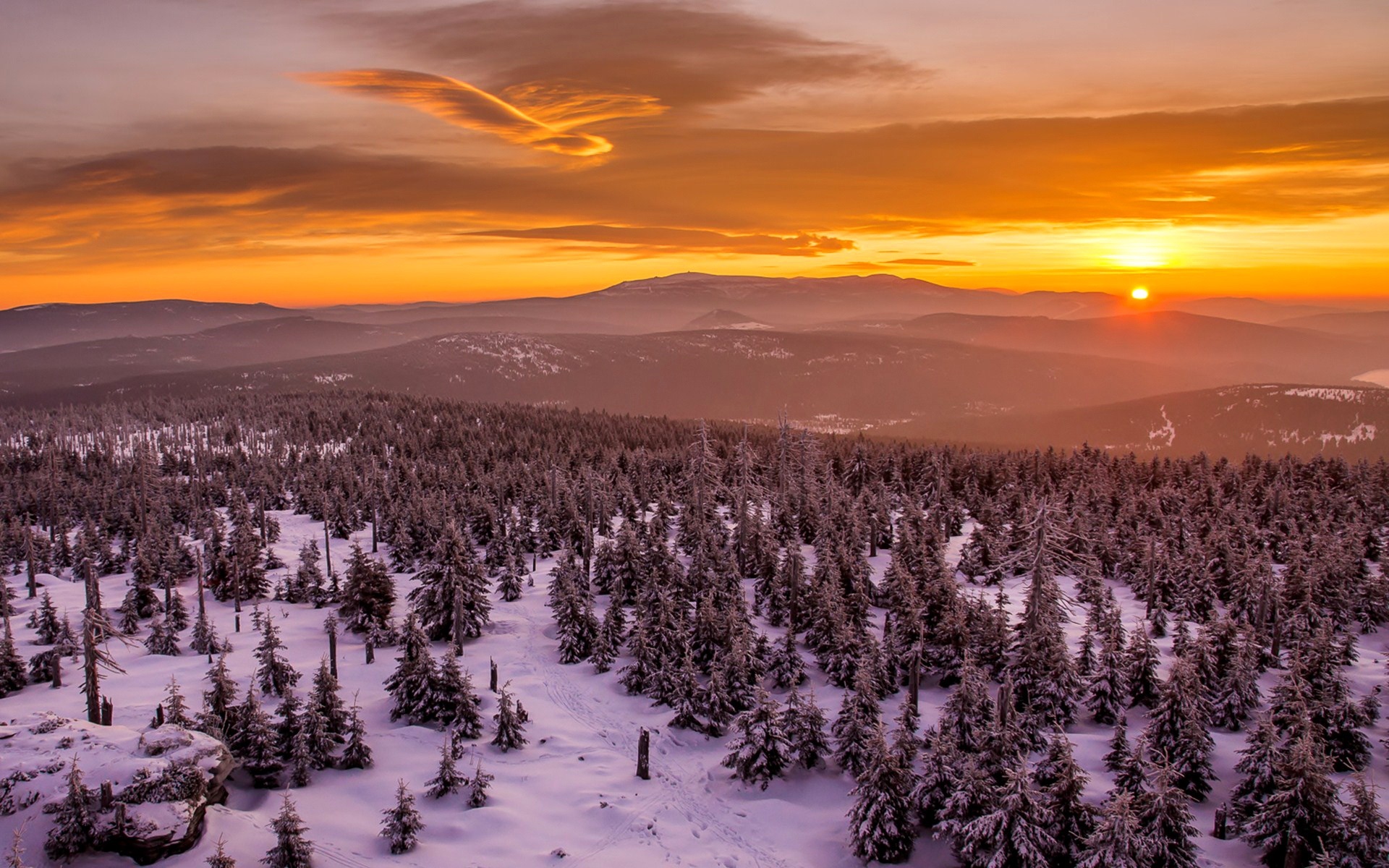 Winter, sunset, trees, snow, mountains, red sky wallpaper | nature and