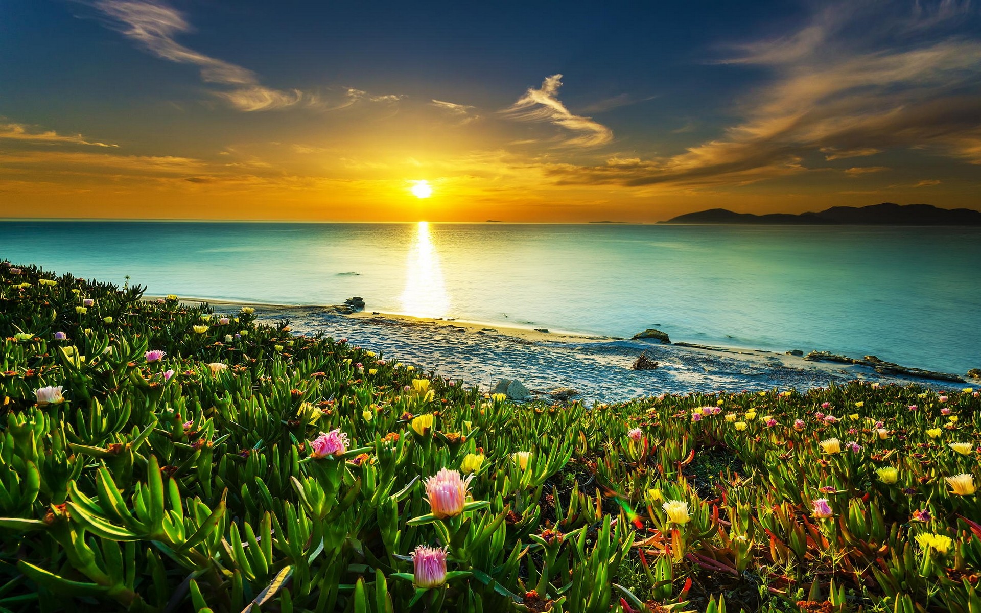 Sunset, Sea, Landscape, Flowers, Coast, Beach, Beautiful wallpaper