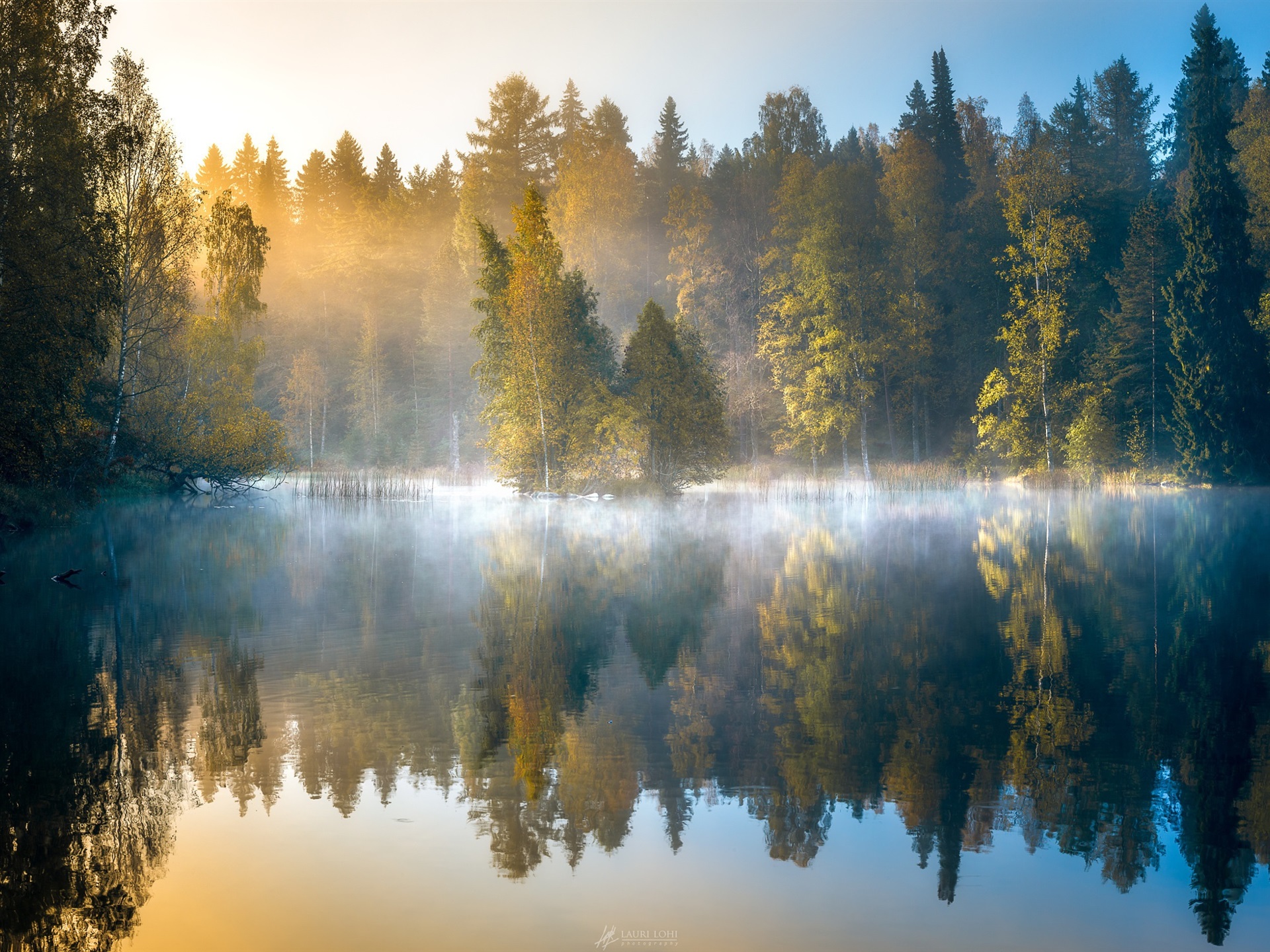 Morning forest, fog, lake, trees, autumn, Finland wallpaper | nature