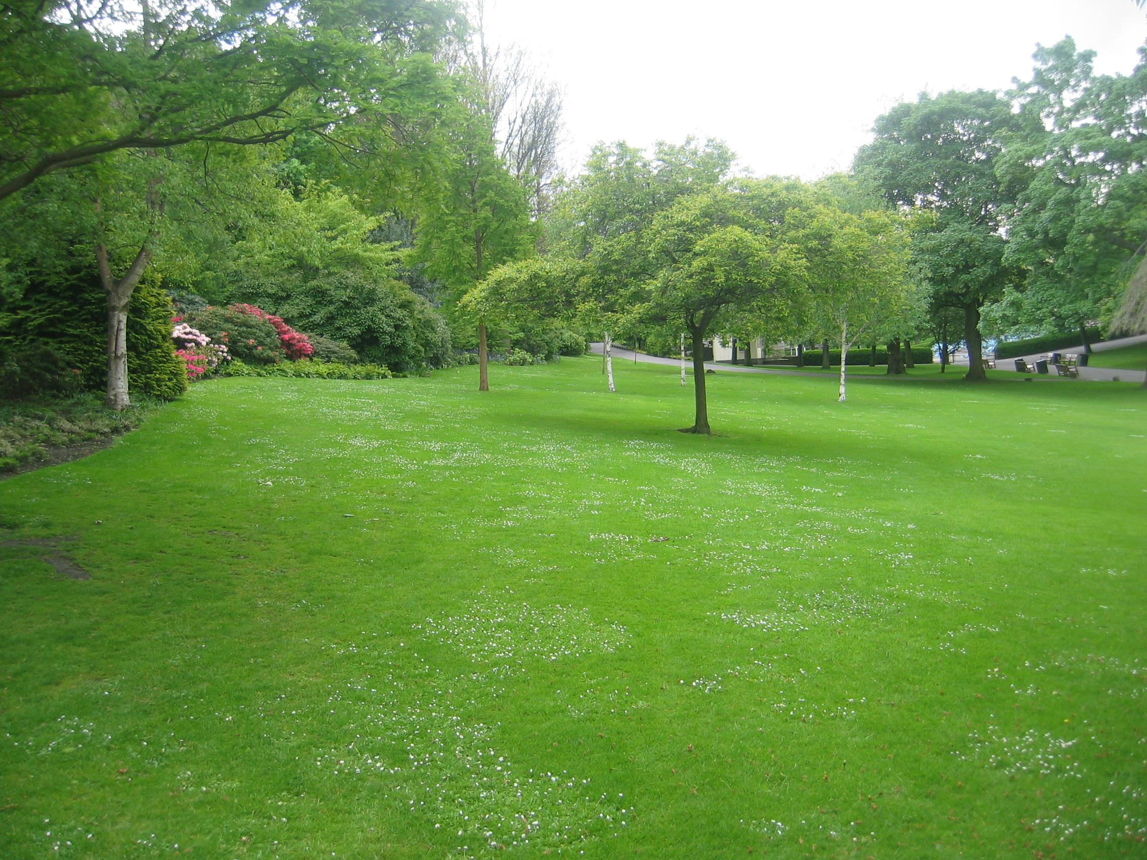 Walking In The Green Garden wallpaper | nature and ...