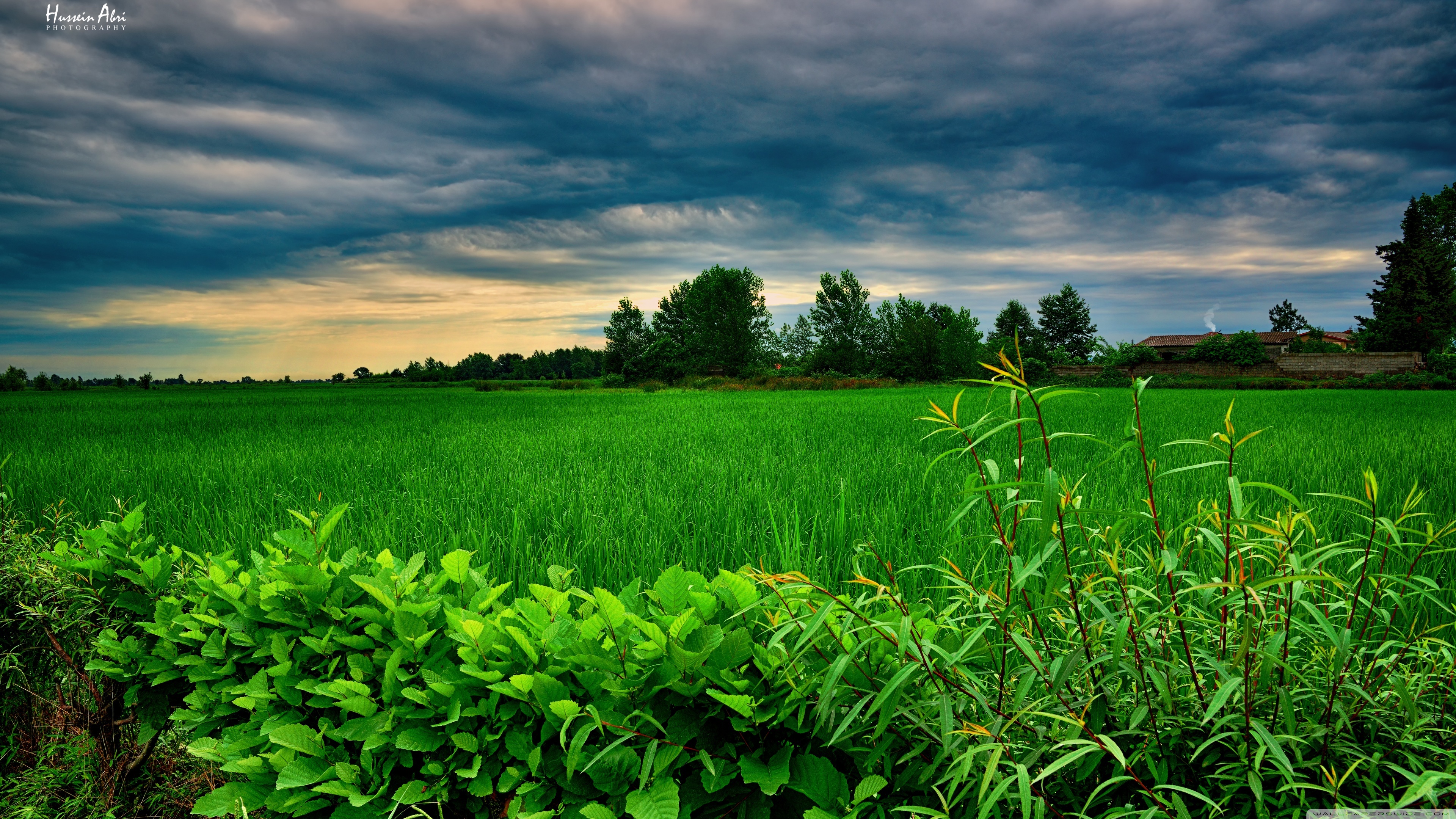 Stormy Clouds over Green Field wallpaper  nature and landscape  Wallpaper Better