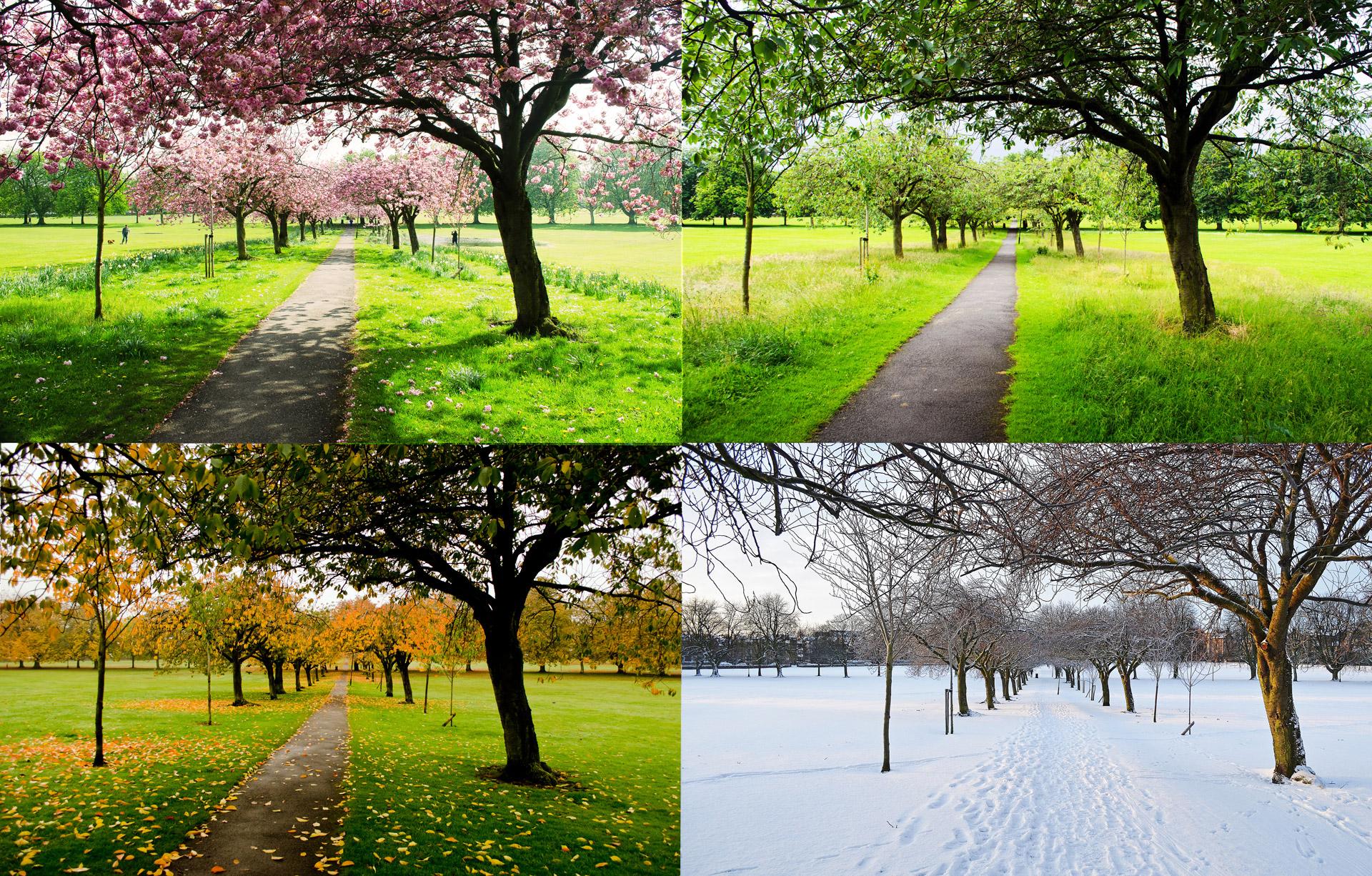 The Four Seasons wallpaper | nature and landscape | Wallpaper Better
