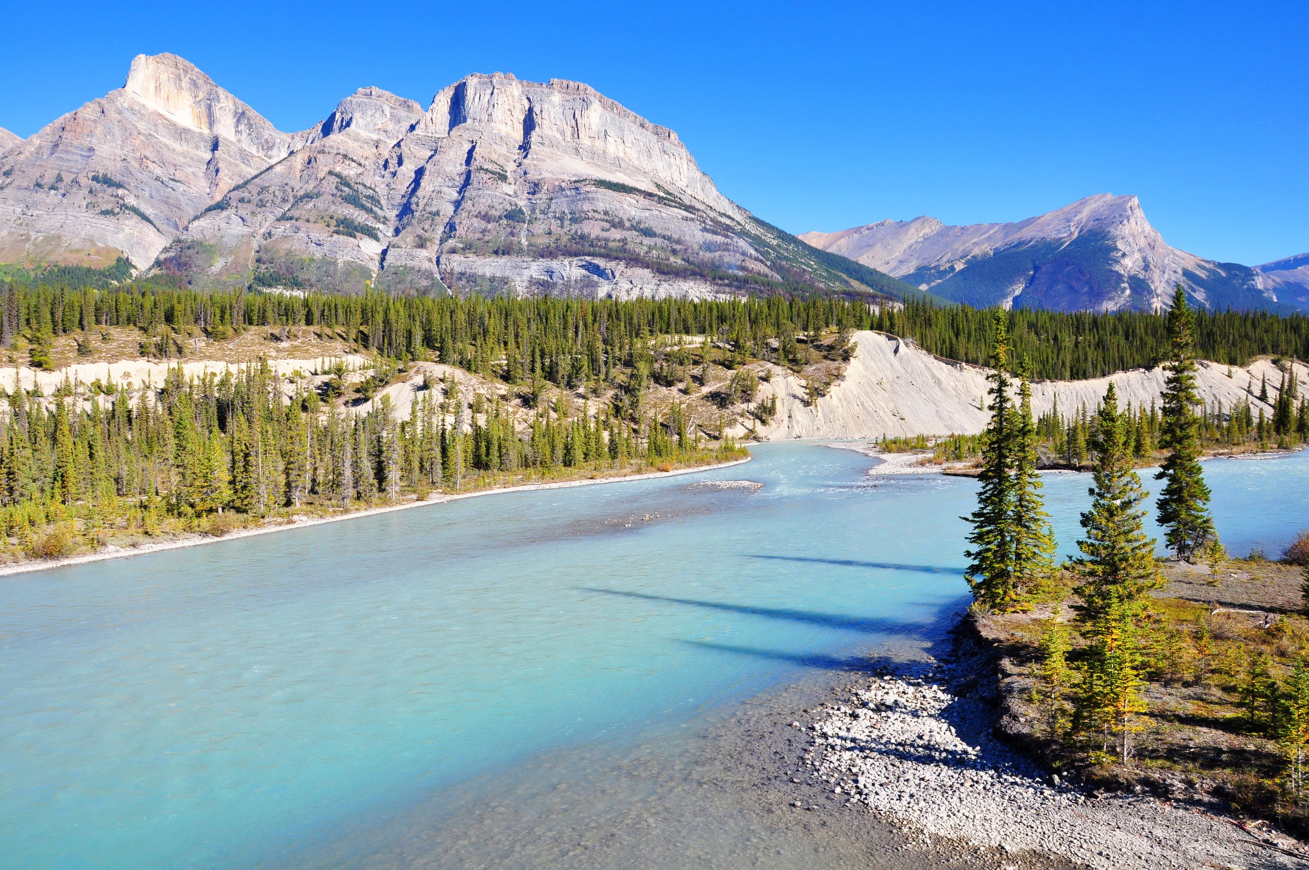 Bow River Castle Mountain Canada Wallpapers Driverlayer Search Engine