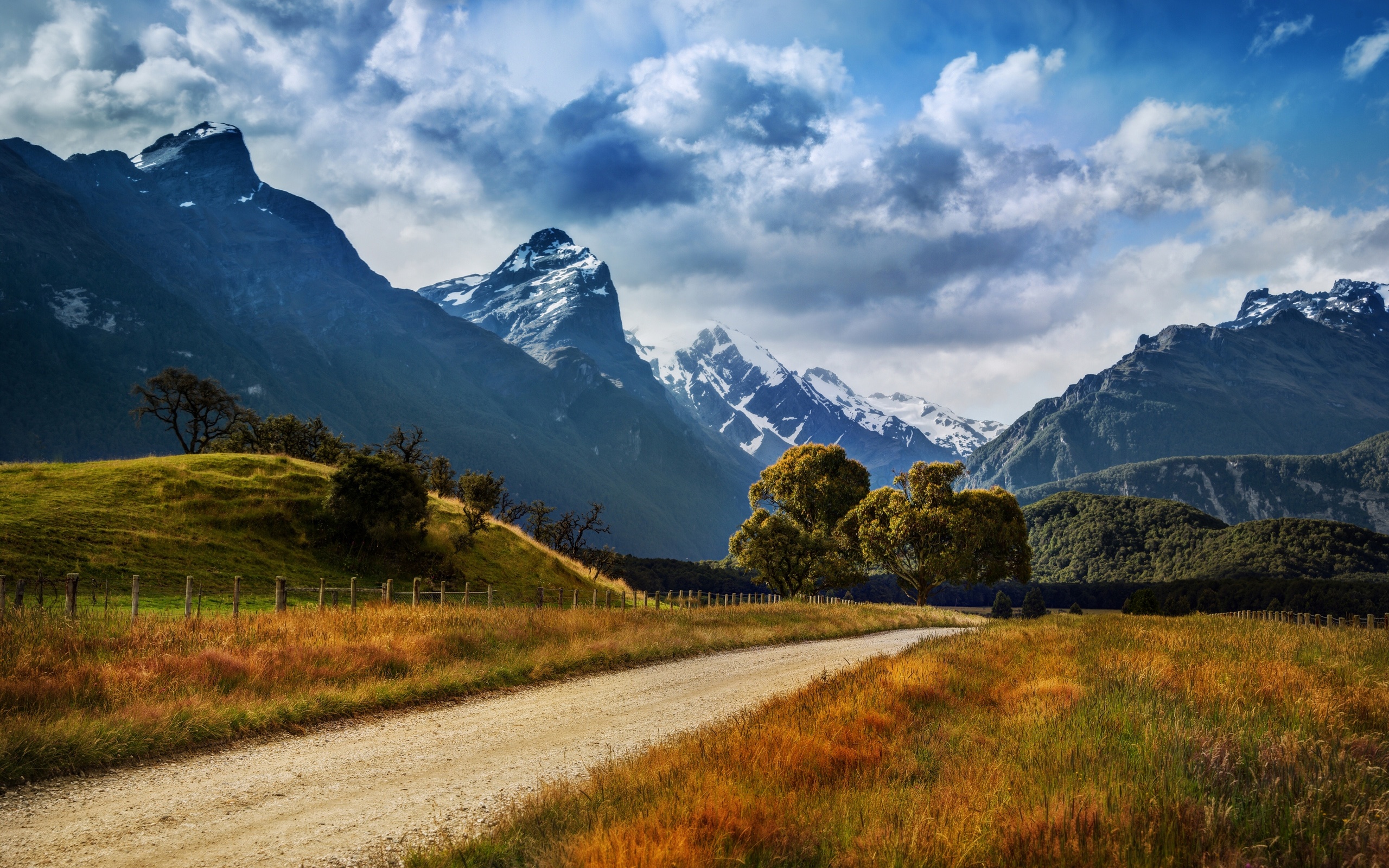 New Zealand nature landscape, mountains, road, trees, grass, clouds