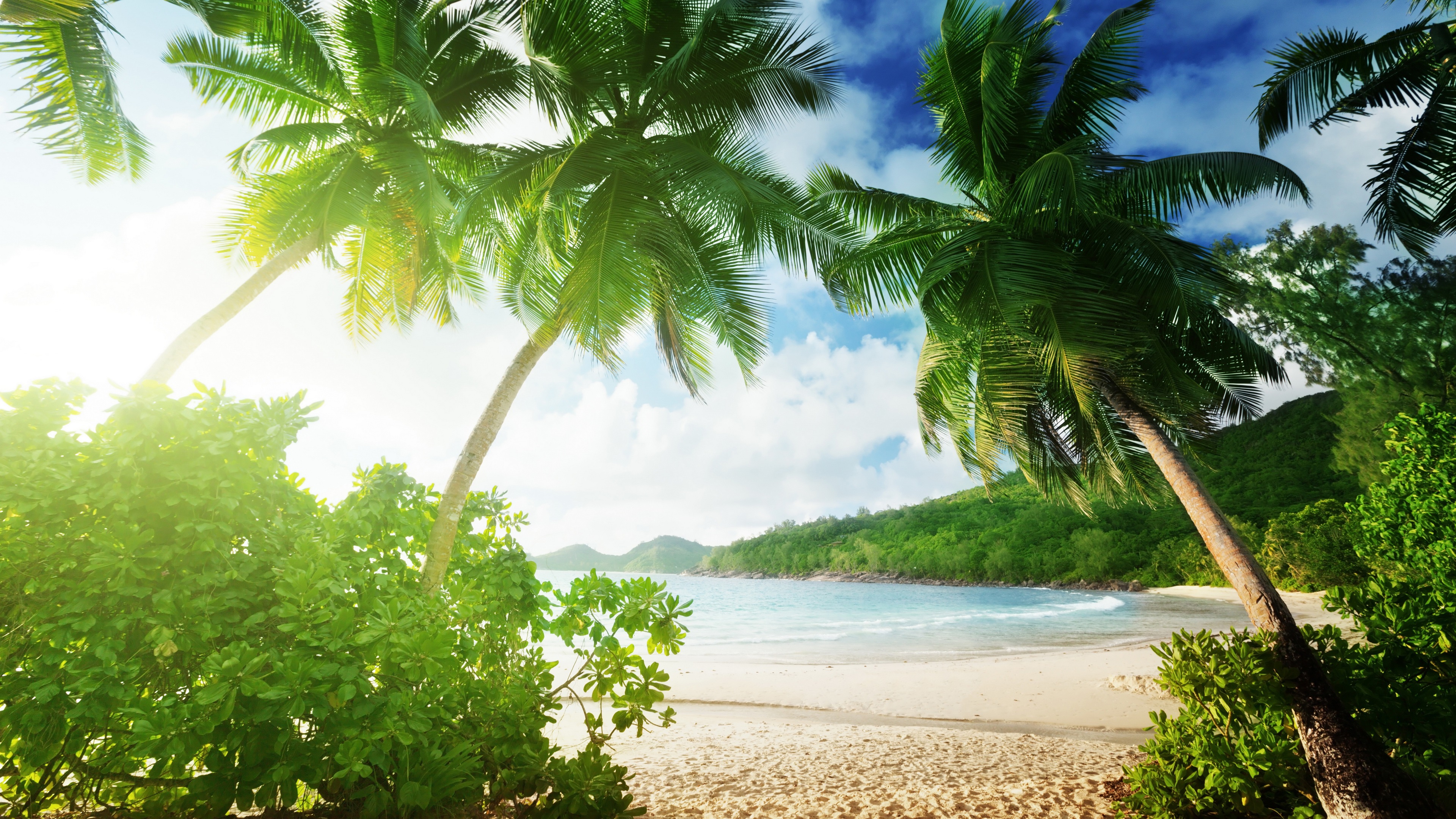 Tropical beach, palm trees, sand, sea, coast, clouds ...
