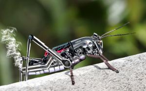 Metal robot grasshopper wallpaper thumb