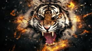 Tiger head in fire wallpaper thumb