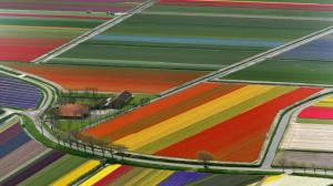 Colourful Farml wallpaper thumb