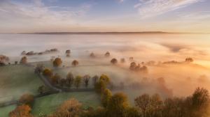 Mist, Trees, Fields, Aerial View wallpaper thumb