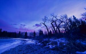 Winter, dawn, glow, trees, snow, lake wallpaper thumb