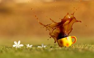 Coffee splash, cup, grass, water drops wallpaper thumb