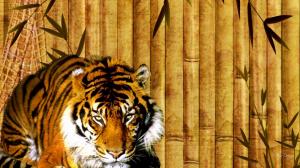 Bamboo Tiger wallpaper thumb
