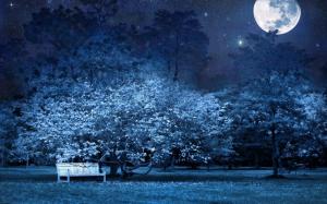 night, bench, park, trees, stars, full moon, sky, light, darkness wallpaper thumb