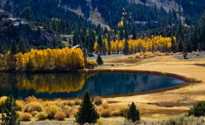 autumn, lake, trees, mountains wallpaper thumb