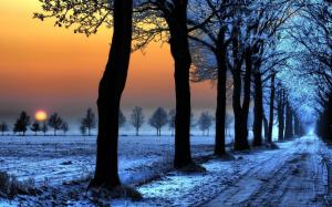Sunset, Trees, Snow, Landscape, Road, Winter wallpaper thumb