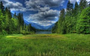 Germany, Berchtesgaden, Bavaria, grass, lake, forest, mountains, clouds wallpaper thumb