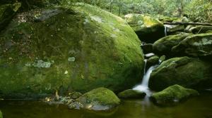 Roaring Fork, Great Smoky Mountains National Park wallpaper thumb