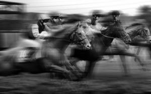 Horse Jockey BW Motion Blur Race HD wallpaper thumb