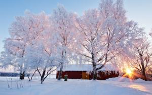 Beautiful winter landscape, snowy, trees, house, sunlight wallpaper thumb