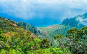 Hawaii beautiful nature landscape, blue sea, mountains, trees wallpaper thumb