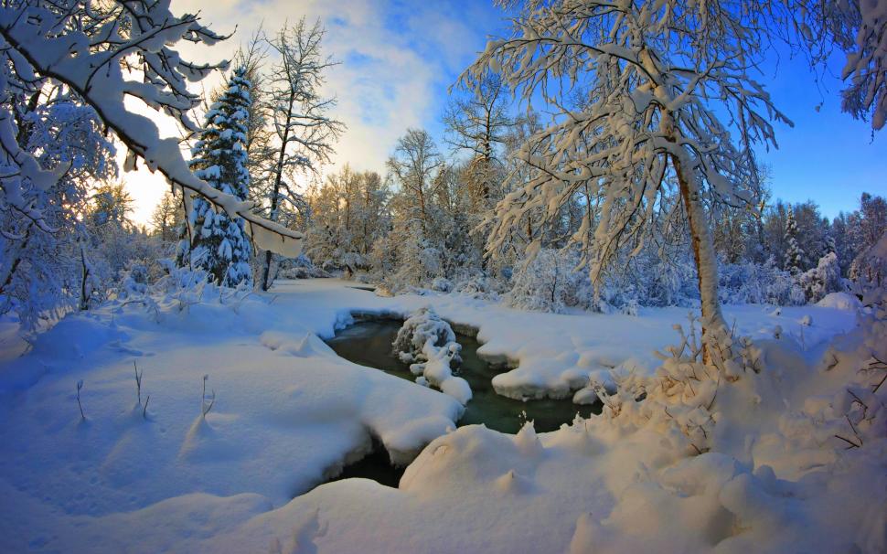 Thick snow winter, trees, river, dusk wallpaper,Thick HD wallpaper,Snow HD wallpaper,Winter HD wallpaper,Trees HD wallpaper,River HD wallpaper,Dusk HD wallpaper,2560x1600 wallpaper