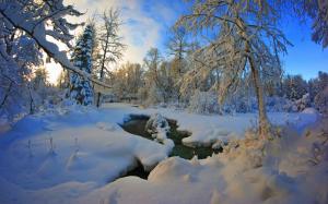 Thick snow winter, trees, river, dusk wallpaper thumb