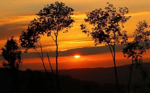 sunrise dawn Trees golden sky day Start life HD wallpaper thumb