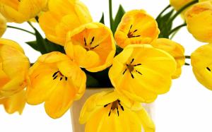 Speckled Yellow Tulips wallpaper thumb