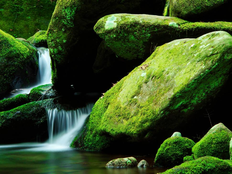 Amazing View River And Moss  Designs wallpaper,green wallpaper,moist wallpaper,moss wallpaper,plant wallpaper,water wallpaper,wet wallpaper,1600x1200 wallpaper