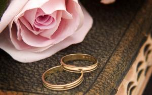 One Pink Rose with Two Wedding Rings wallpaper thumb