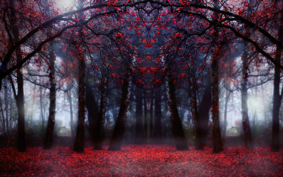 Magical Red Forest In Focus wallpaper,forest HD wallpaper,leaves HD wallpaper,autumn HD wallpaper,nature & landscapes HD wallpaper,1920x1200 wallpaper
