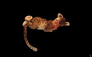 Leopard Baby wallpaper thumb