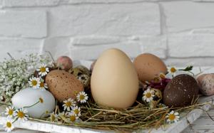 Easter, holiday, eggs, Krashenki, stand, wall, hay, flowers, daisies wallpaper thumb